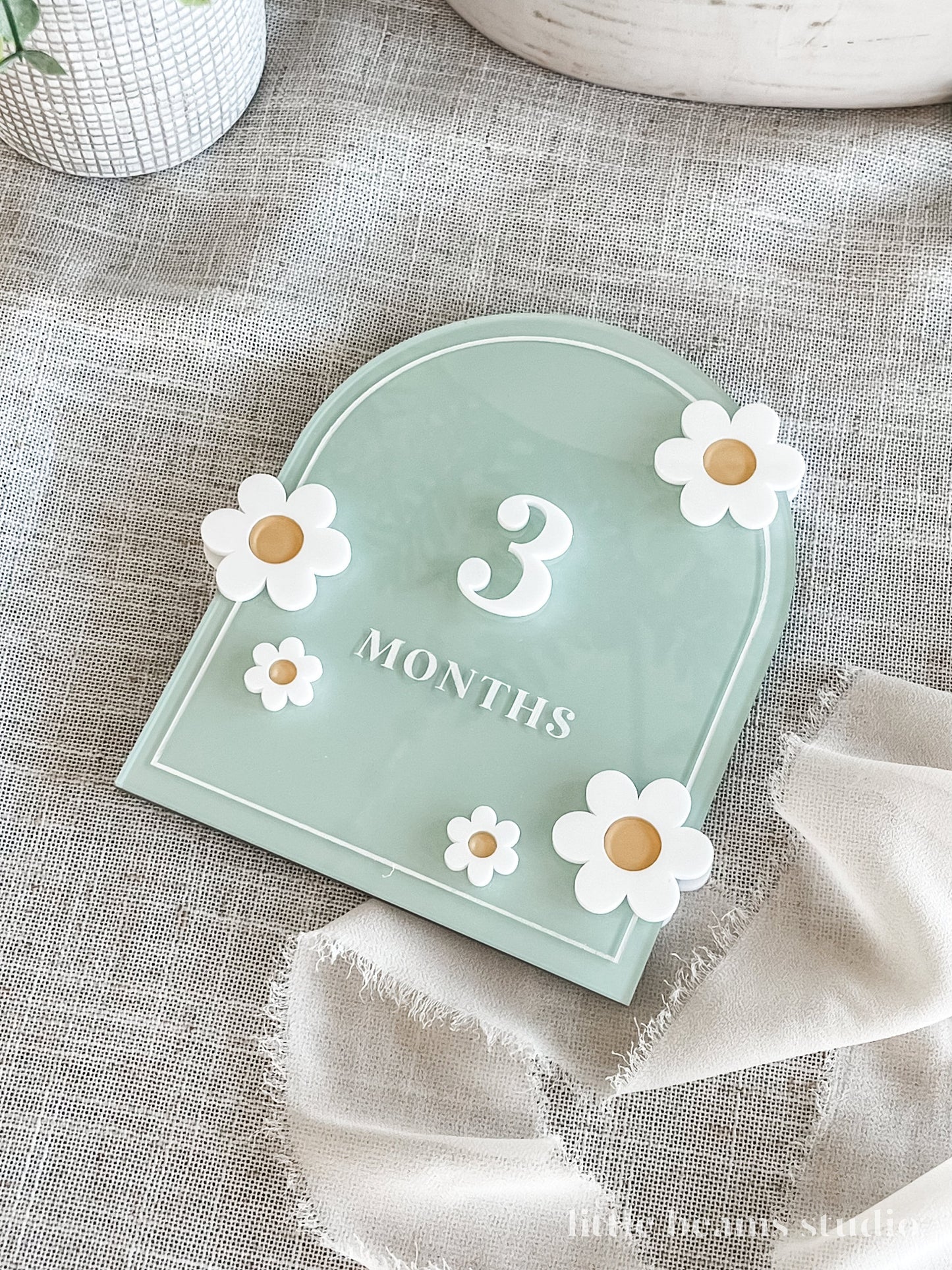 Acrylic Daisy Flower Arch Baby Monthly Milestone Sign