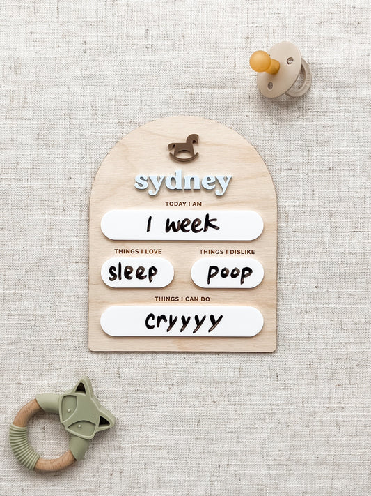 Horse Custom Baby Milestone Board