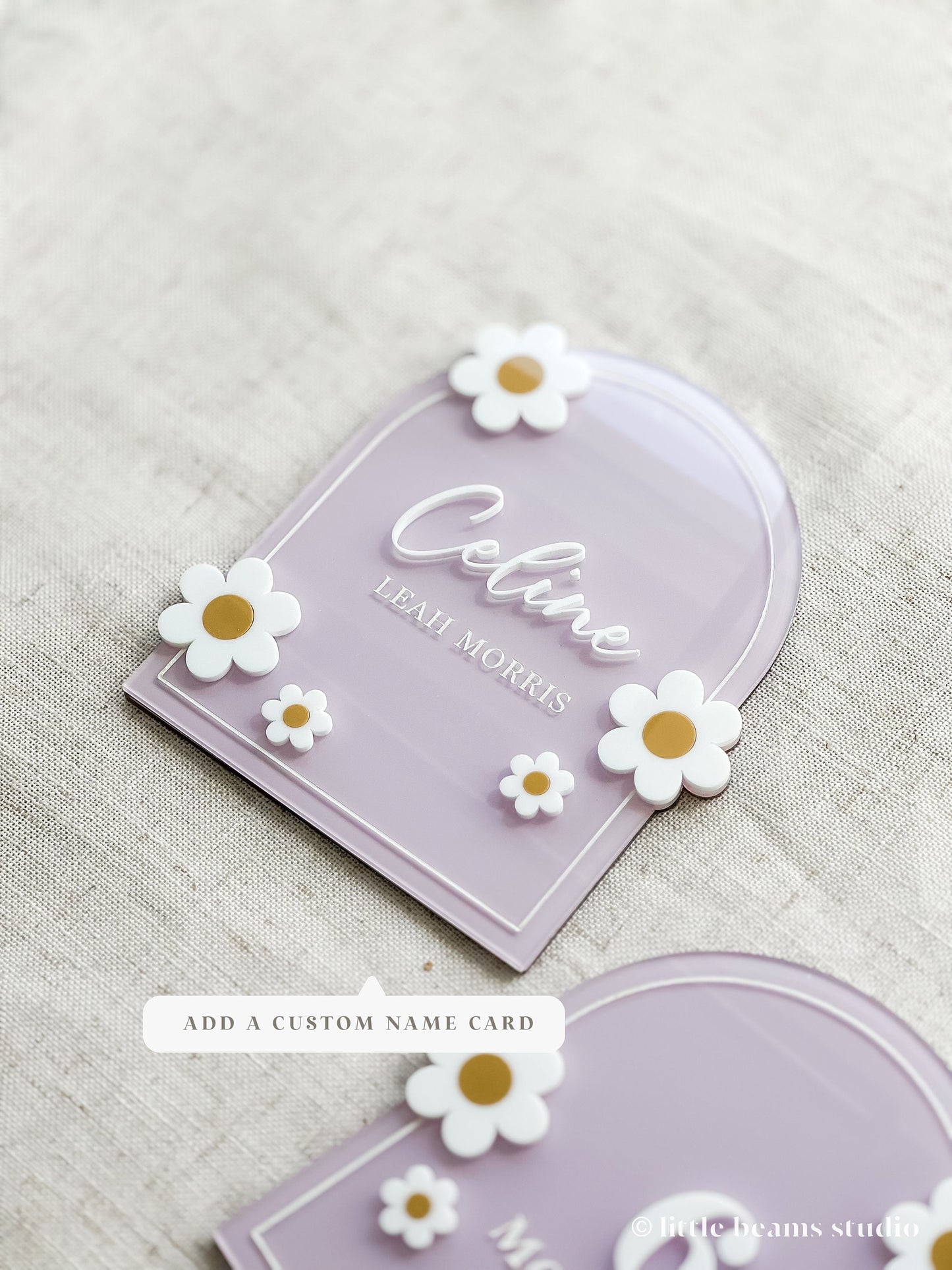 Acrylic Daisy Flower Arch Baby Monthly Milestone Sign