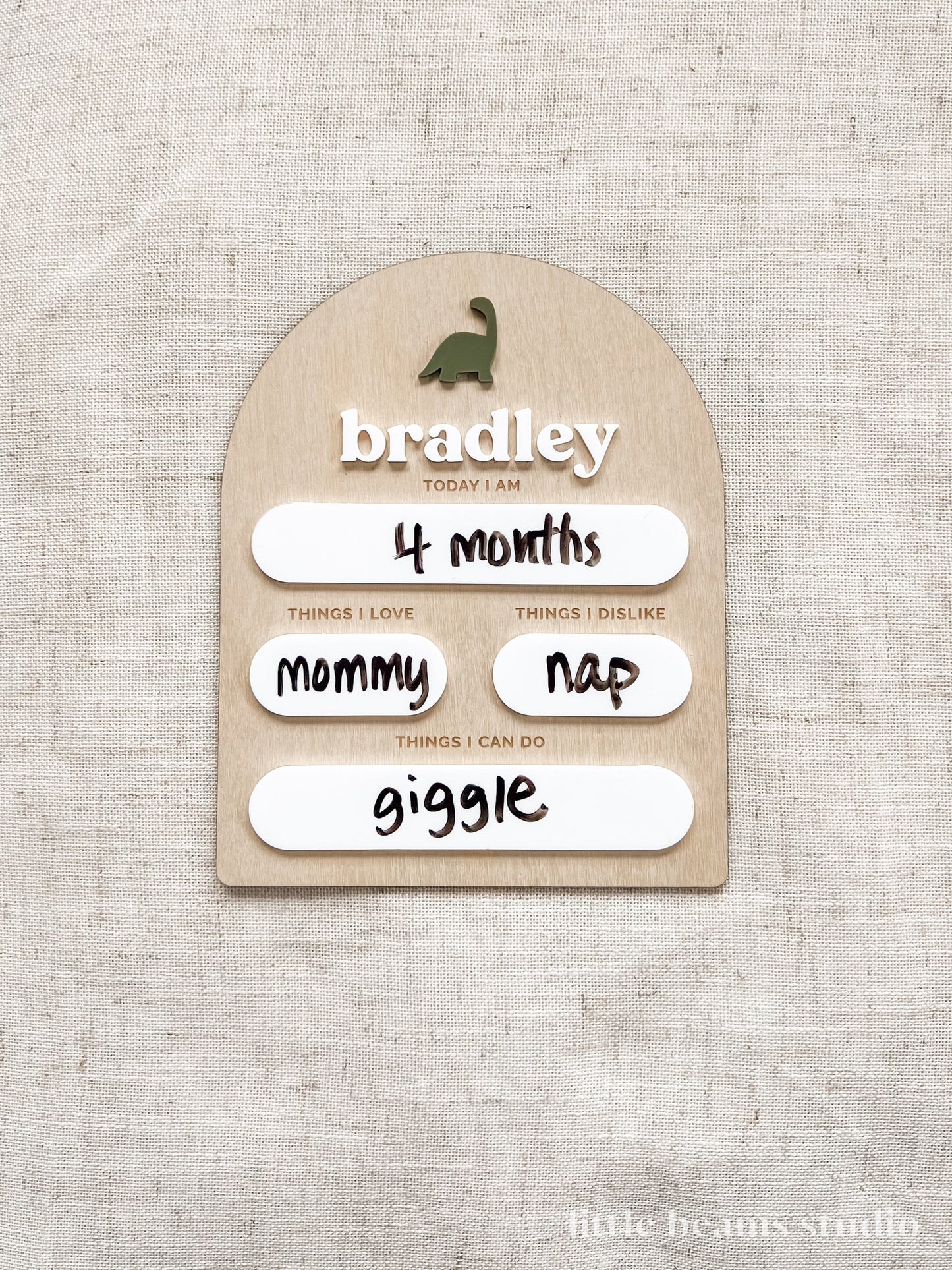 Dinosaur Custom Baby Milestone Board