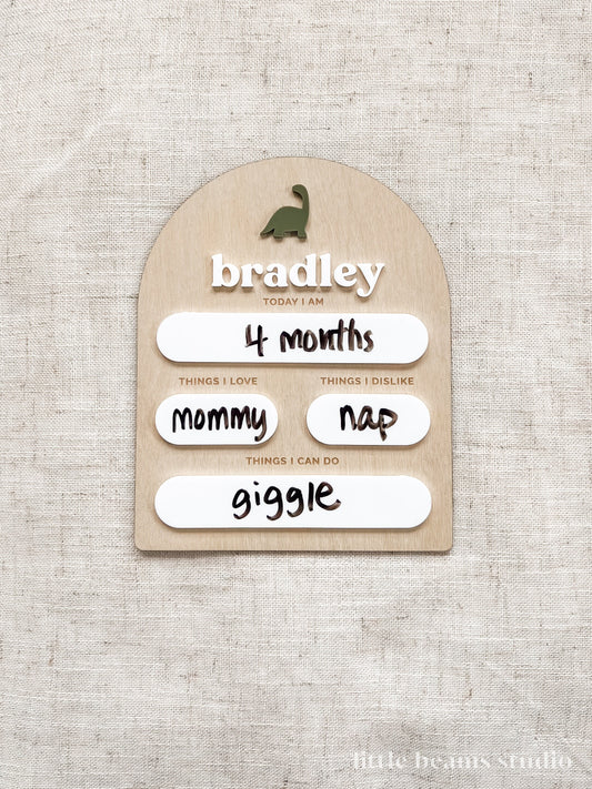 Dinosaur Custom Baby Milestone Board