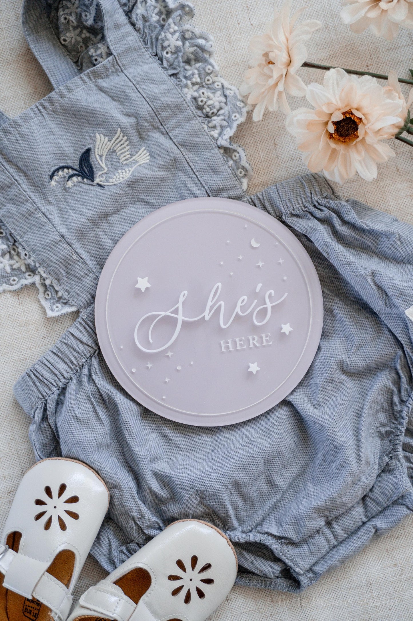 She's Here He's Here Baby Birth Announcement Sign