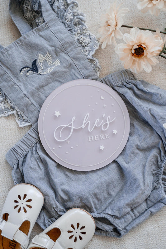 She's Here He's Here Baby Birth Announcement Sign