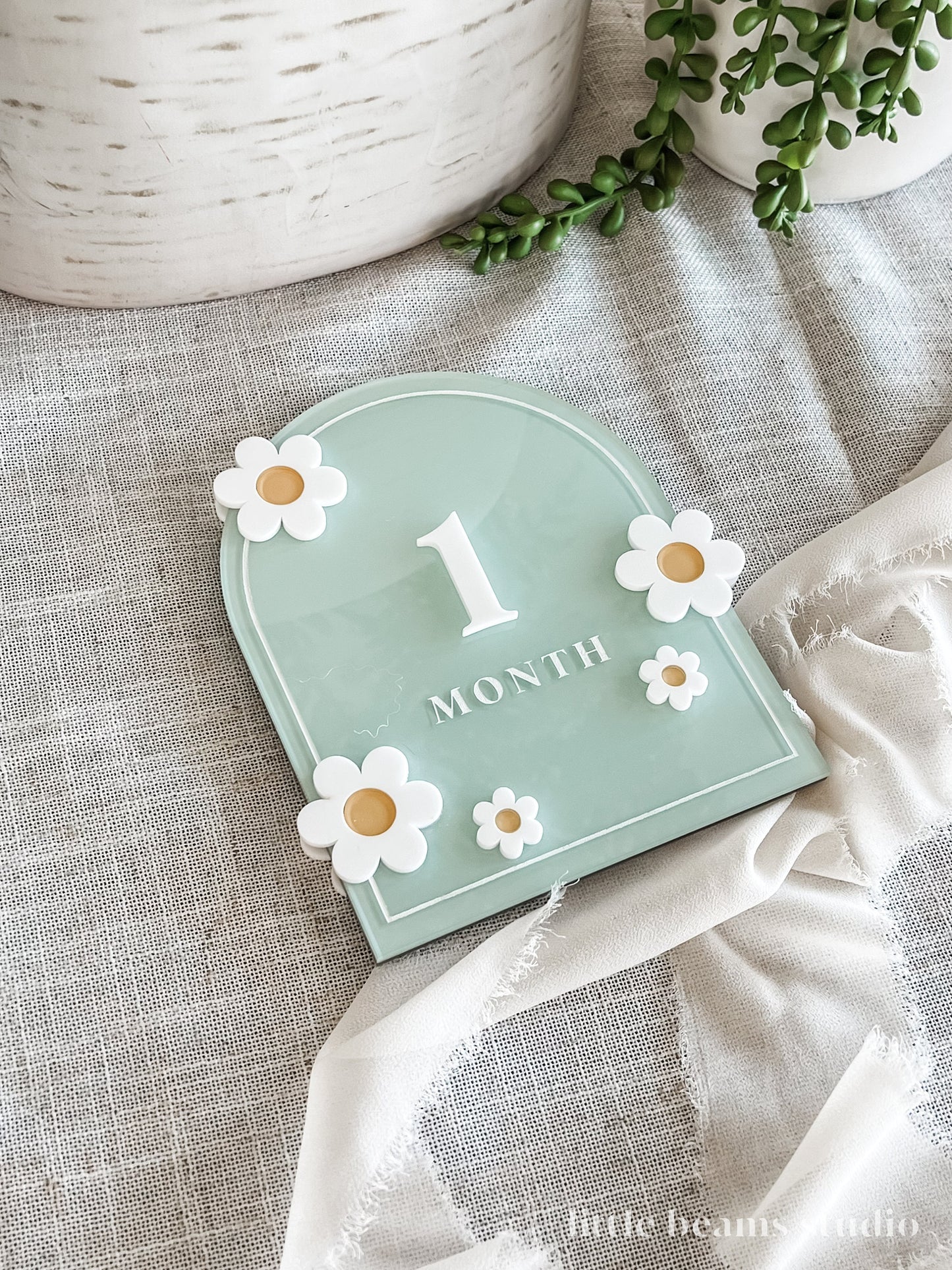 Acrylic Daisy Flower Arch Baby Monthly Milestone Sign